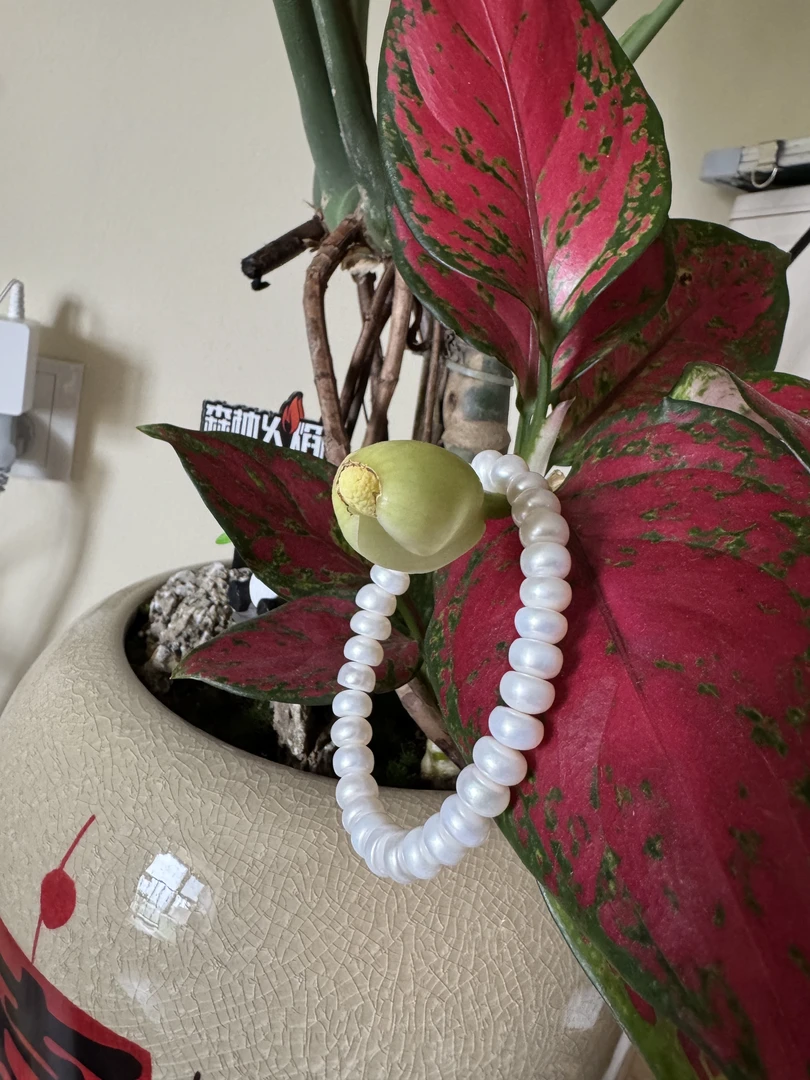 非金属仿珍珠手链 彩薇算盘珠优雅珍珠珠珠手链（要求完美慎拍）