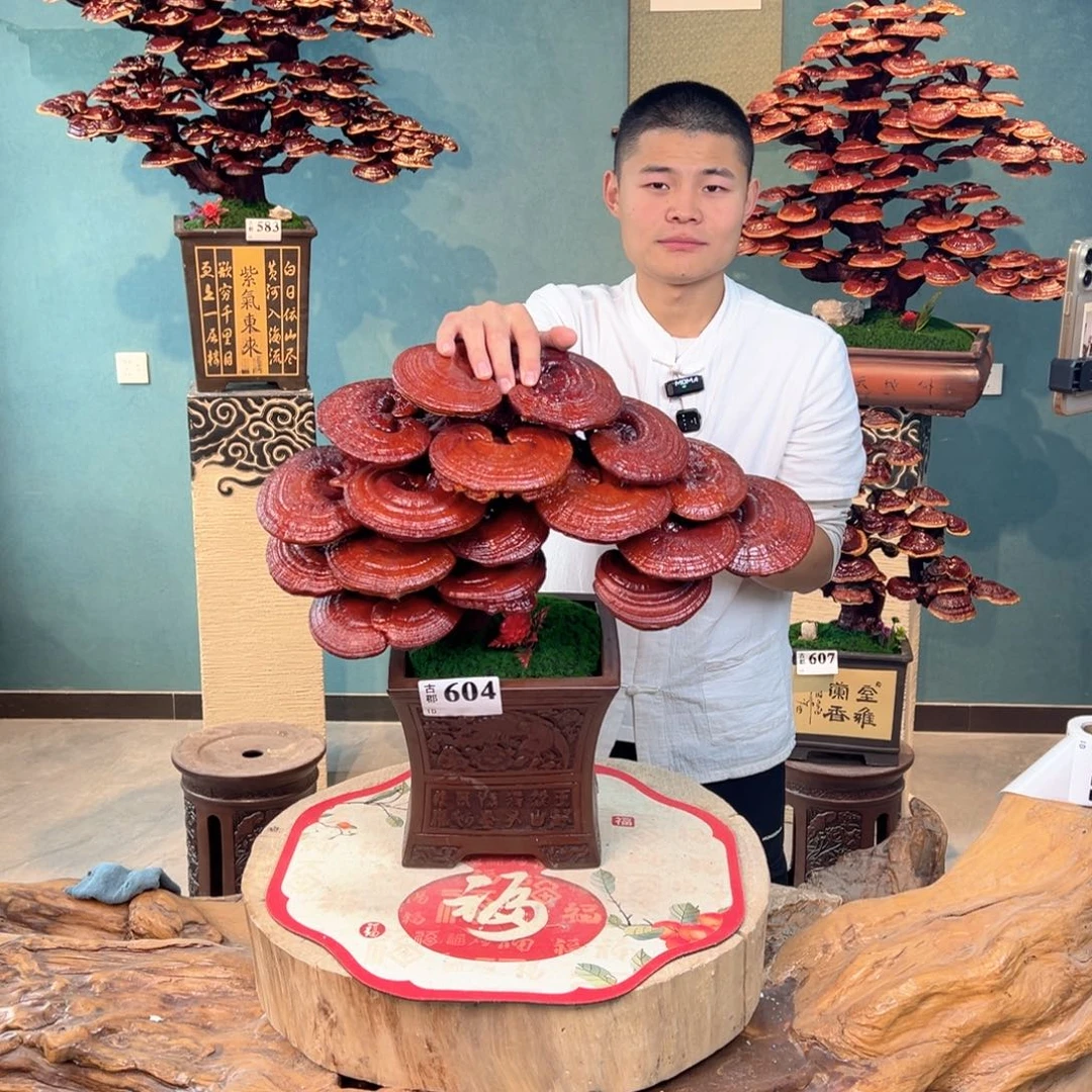 无花朵8888888888888