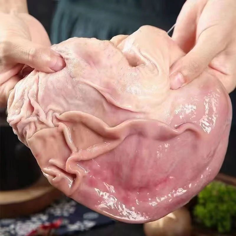 农家土猪猪肚新鲜猪大肚鲜猪肚3斤5斤10斤20斤