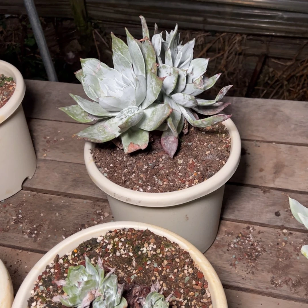 勿**。470哈哈哈哈哈哈哈哈