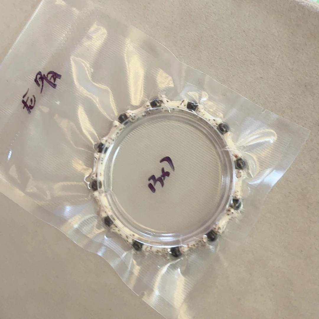 星月菩提手串星月龙骨13