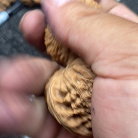 文玩核桃把件三角白20