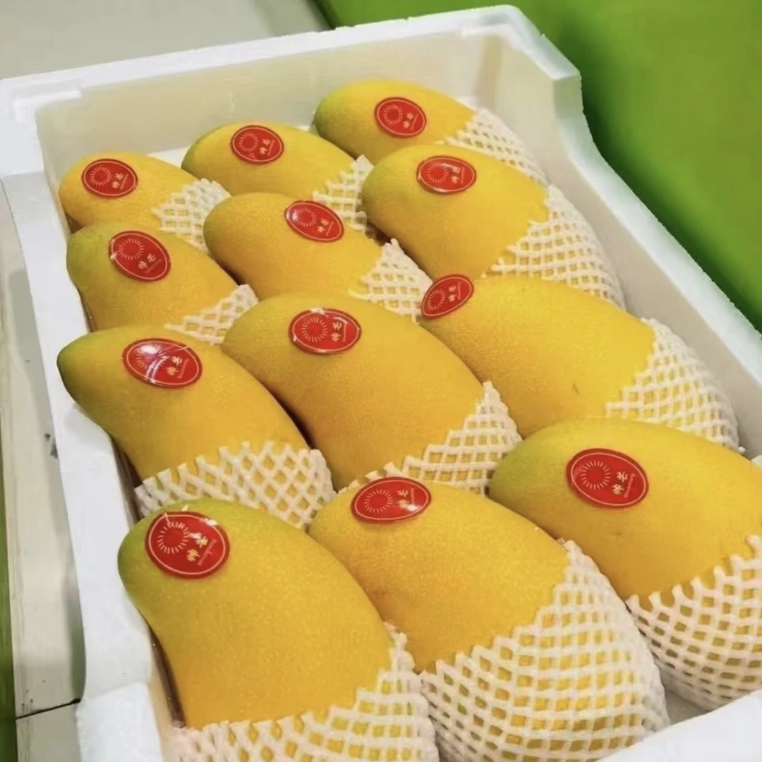 树熟金煌芒 嘎嘎香甜 皮薄肉厚刀片核！可切盒一斤