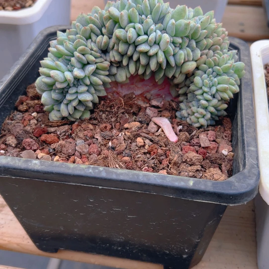 新年快乐 新年快乐