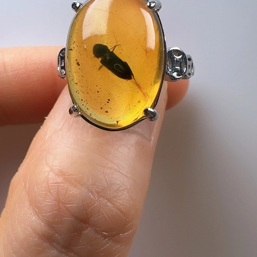 琥珀裸石未镶嵌y****9琥珀虫珀戒指