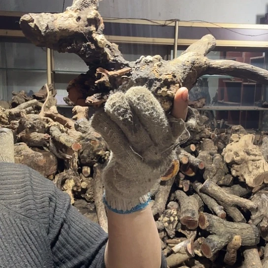 香榧木老**哥火琉璃的故事毛料摆件