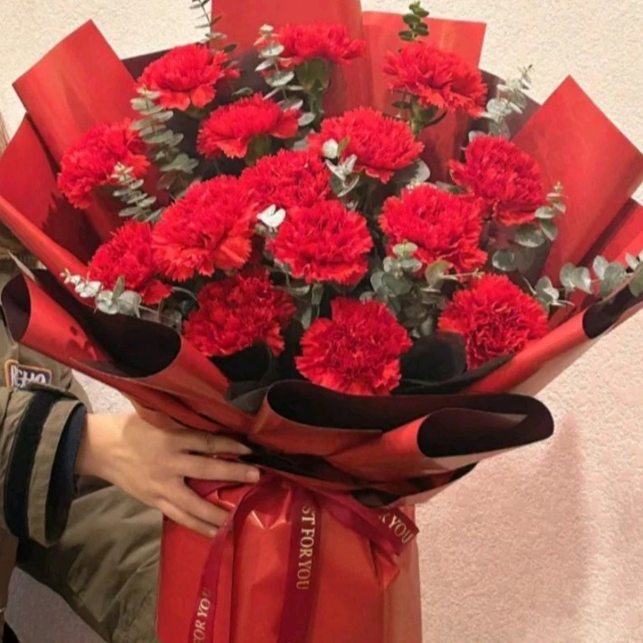 11朵康乃馨鲜花花束生日礼物生日鲜花店送花上门鲜花配送上门