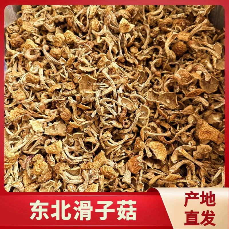 东北干货滑子菇