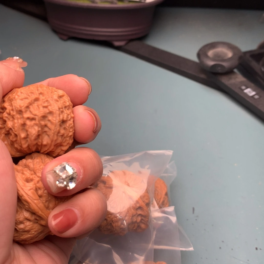 文玩核桃把件血麒麟4041