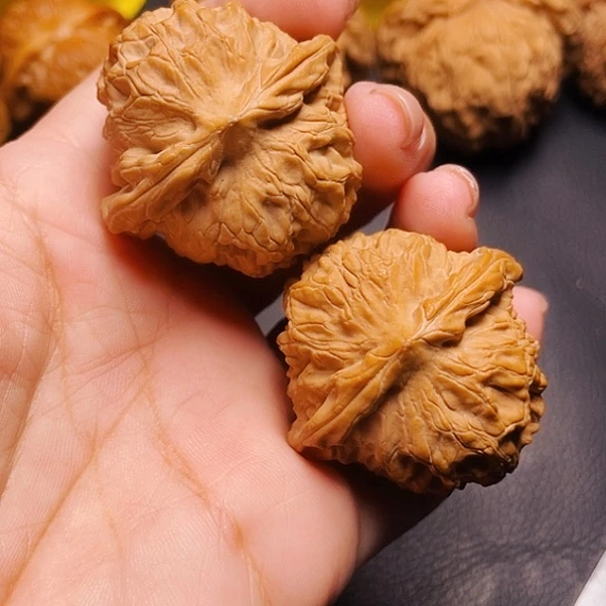 文玩核桃龙脉元宝