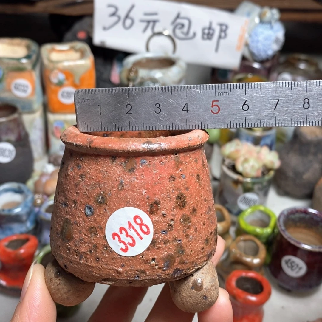 花盆拍3送个9·9的盆，拍5送同款