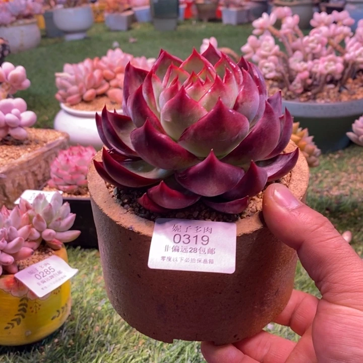 0319啊啊啊啊啊啊啊啊啊啊啊啊