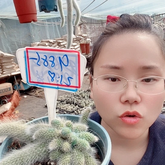 9885兔子希望我们一样