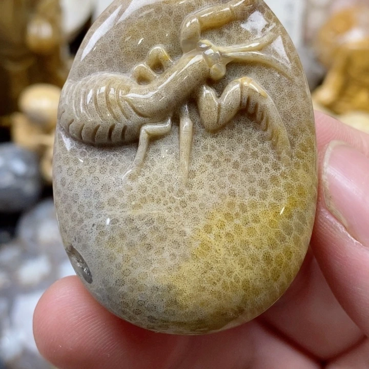 颈饰未镶嵌硅化珊瑚（珊瑚玉）