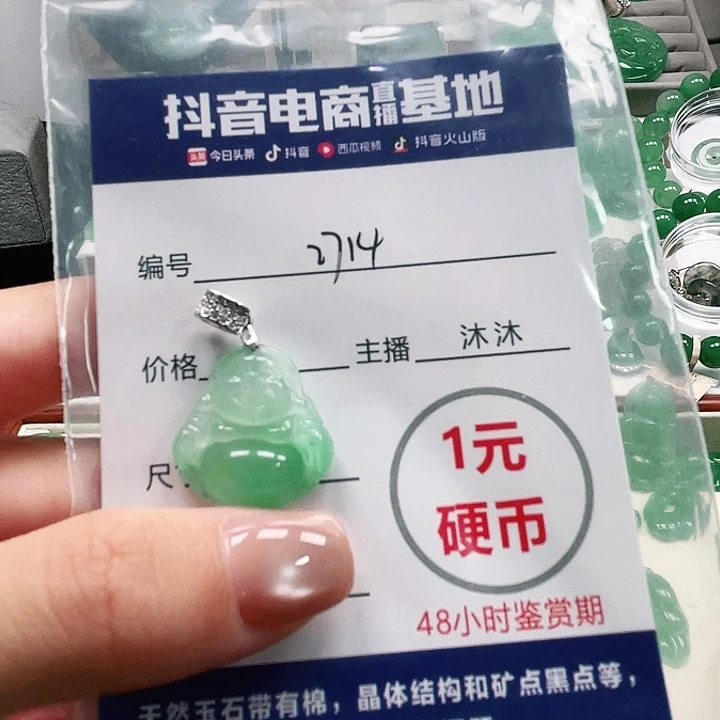 石英质玉未镶嵌颈饰