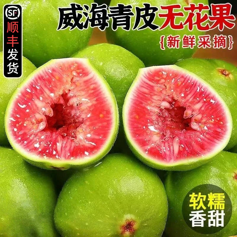【顺丰鲜果】山东威海青皮无花果新鲜应季水果孕妇9-5S1