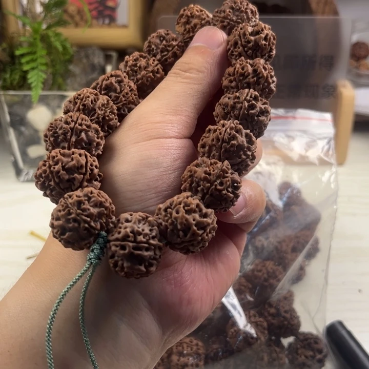 手串金刚菩提蒋***听原生态钮扣梅花货头