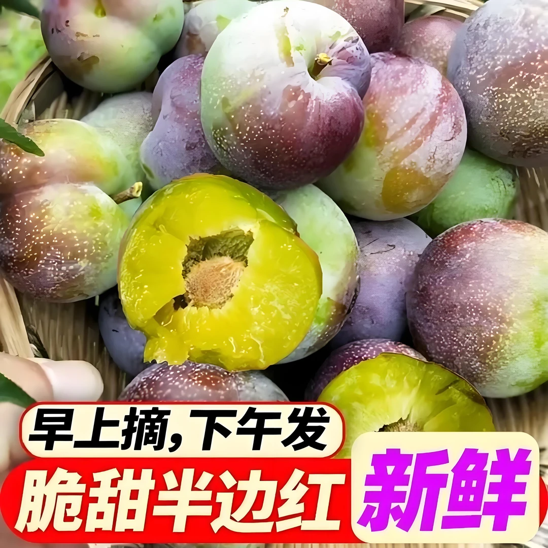 正宗四川脱骨李半边红新鲜采摘脆甜多汁茵红李应季水果四川青脆李