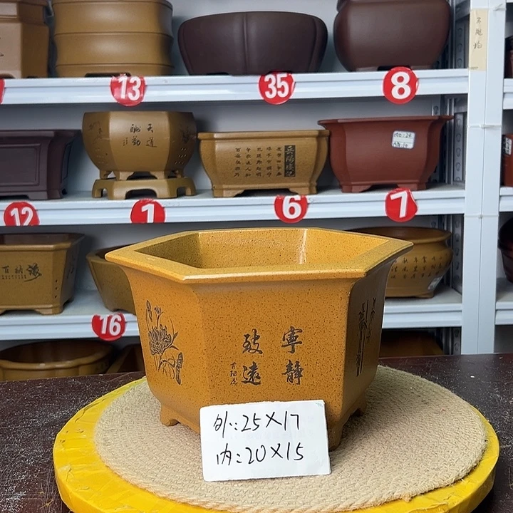 紫砂花盆你在一起