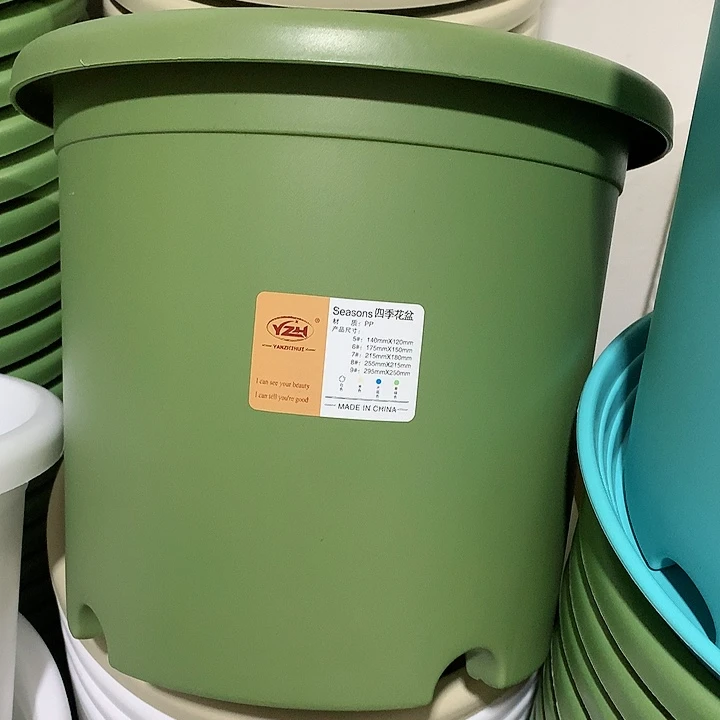 四季口29果绿5个无托