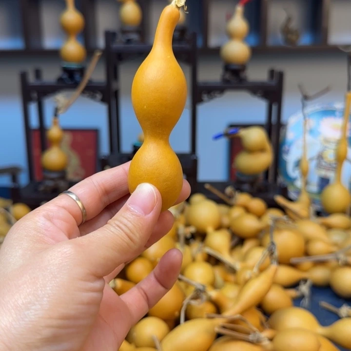 自***强葫芦8888888888888