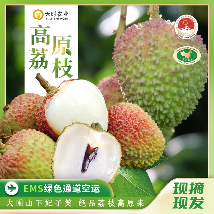 【EMS空运】妃子笑荔枝云南高山新鲜现摘现发水果核小肉厚香甜多汁