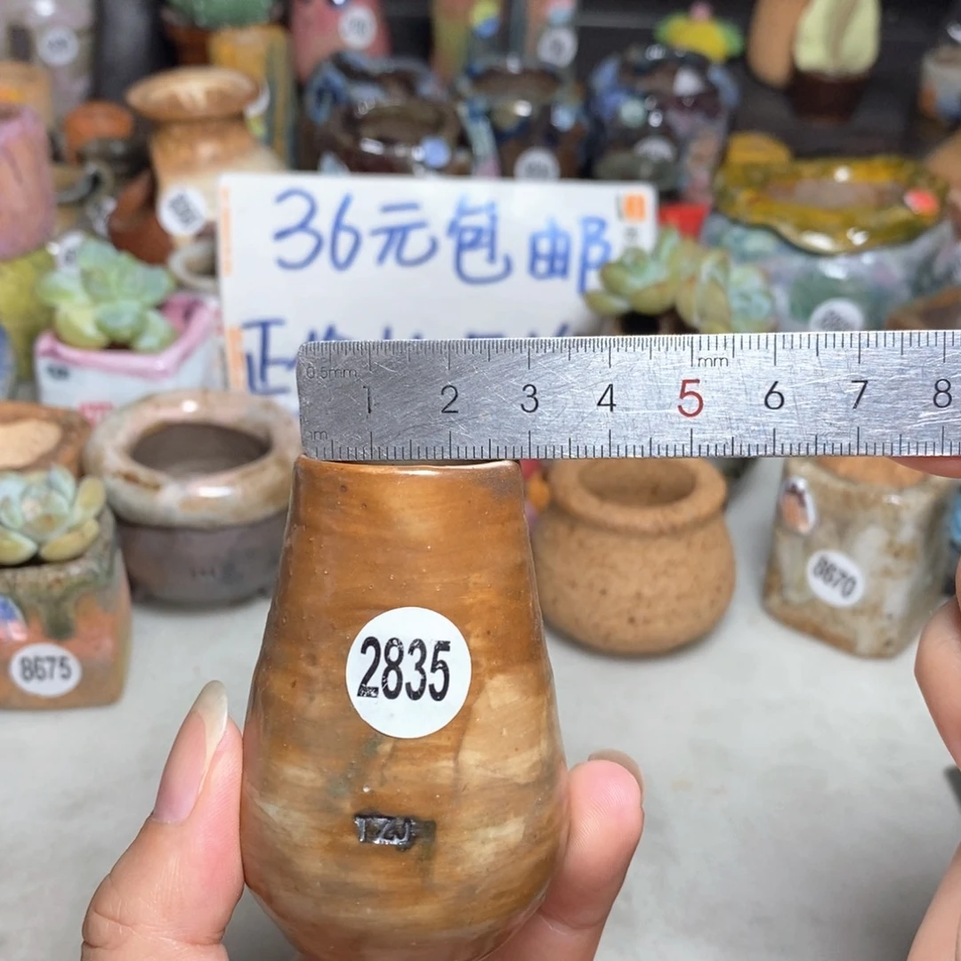 拍5送一个小礼物