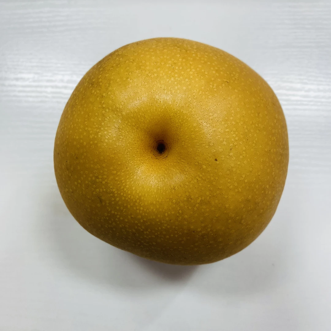 【磊哥心选】精品秋月梨礼盒一箱 5斤左右6颗果
