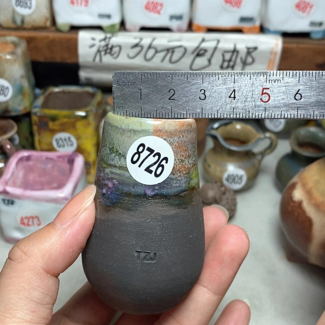 拍5送一个小礼物