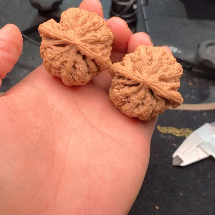 文玩核桃把件16号46全品粗筋