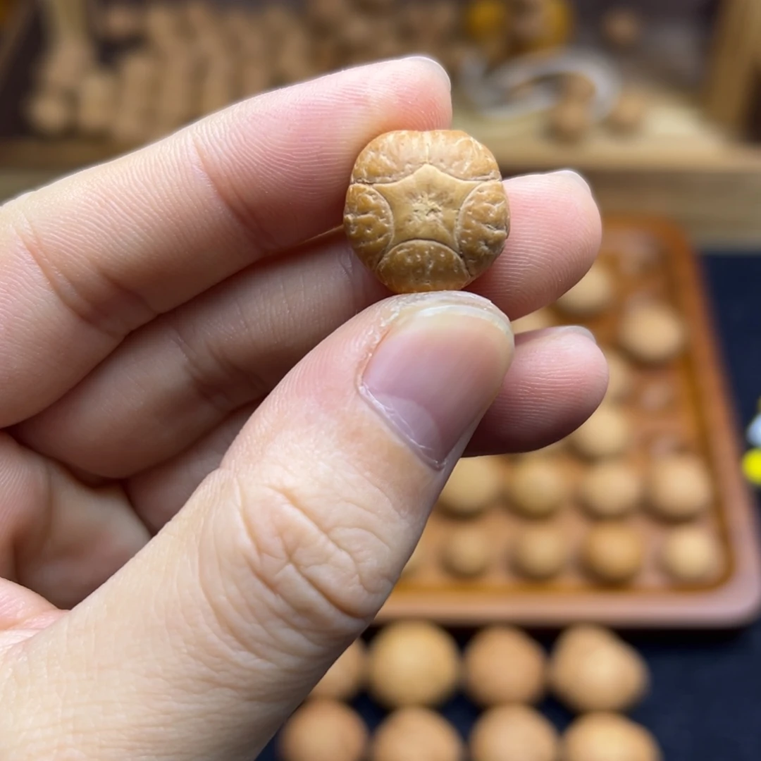 手串凤眼菩提17五星上将