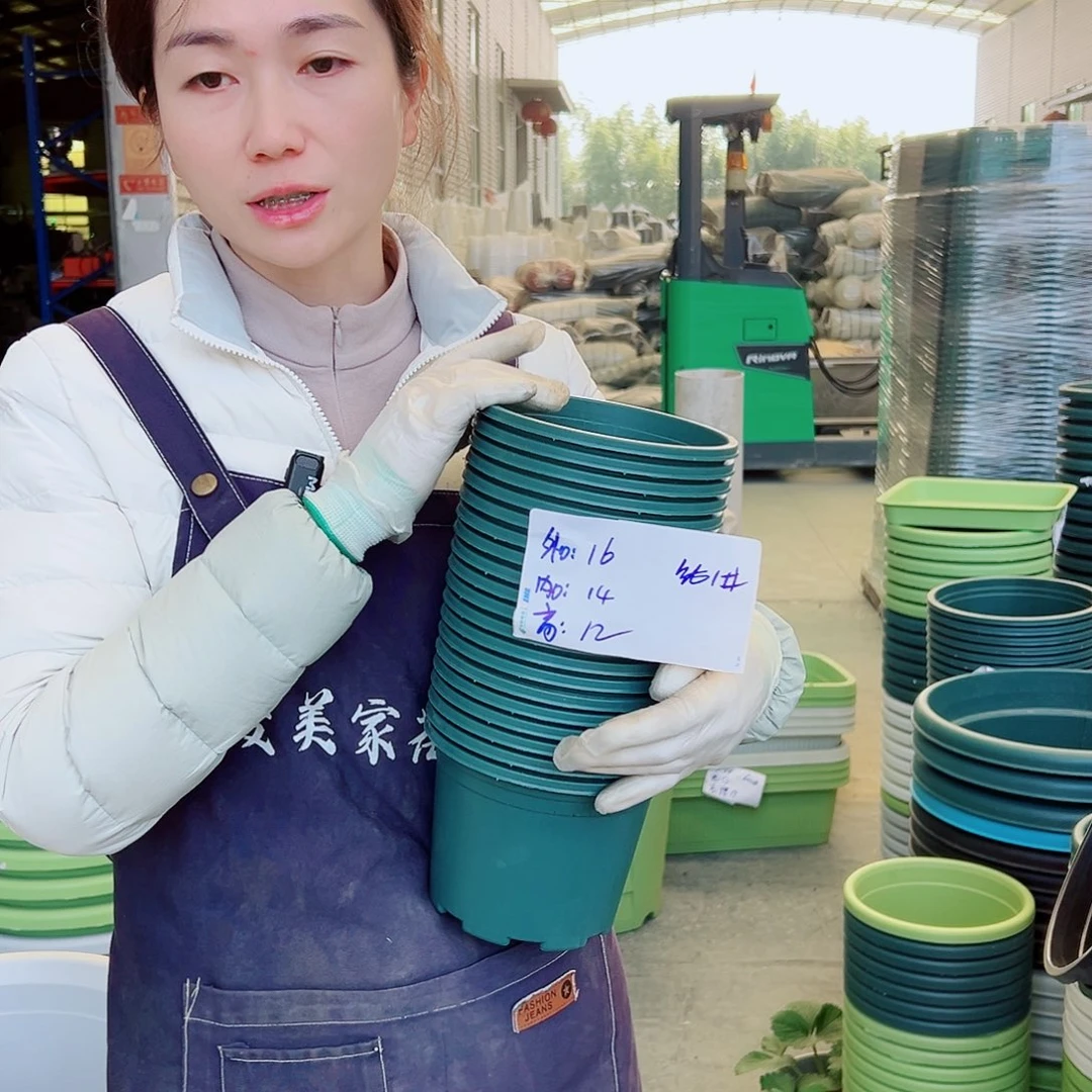 瑕疵矮胖1#墨绿20个无托