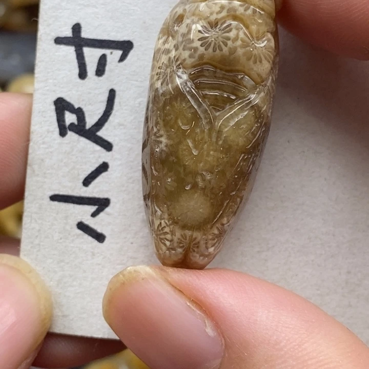 硅化珊瑚（珊瑚玉）未镶嵌颈饰