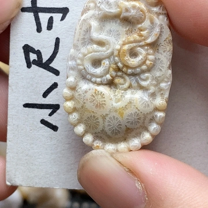 颈饰未镶嵌硅化珊瑚（珊瑚玉）
