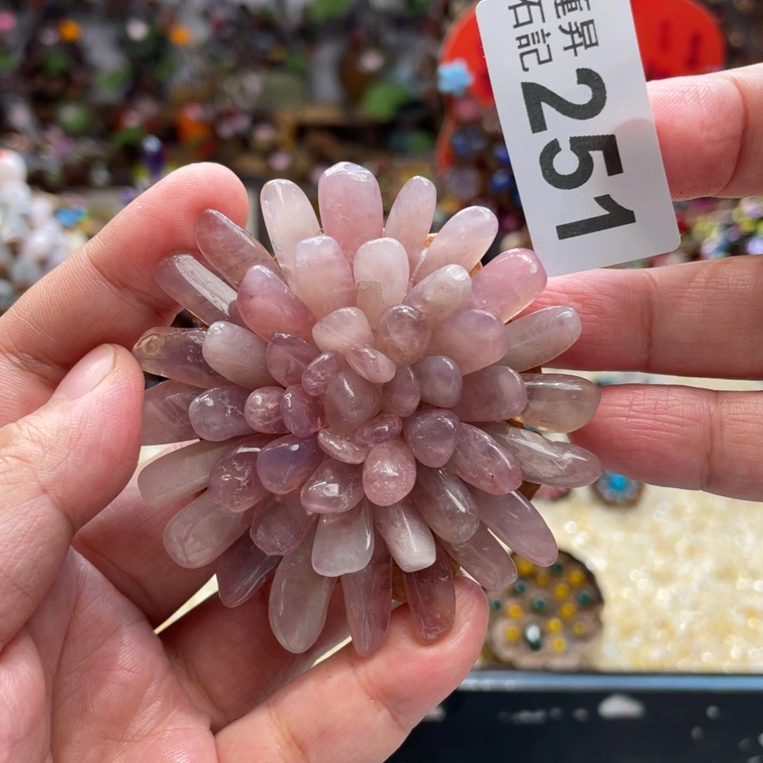 核桃木/黑胡桃（胡桃木）251