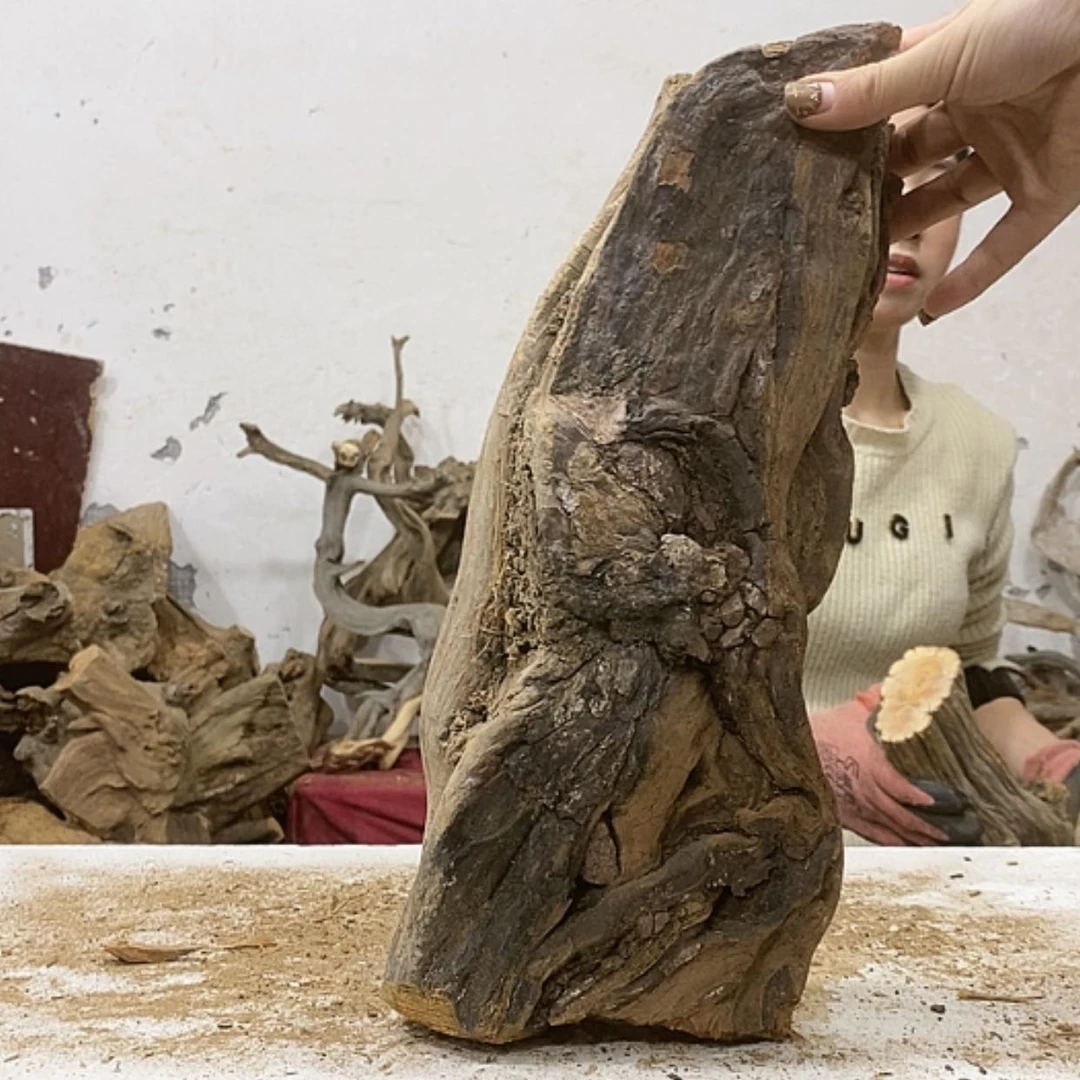 【闪购商品】柏木7*7我们都是好孩子