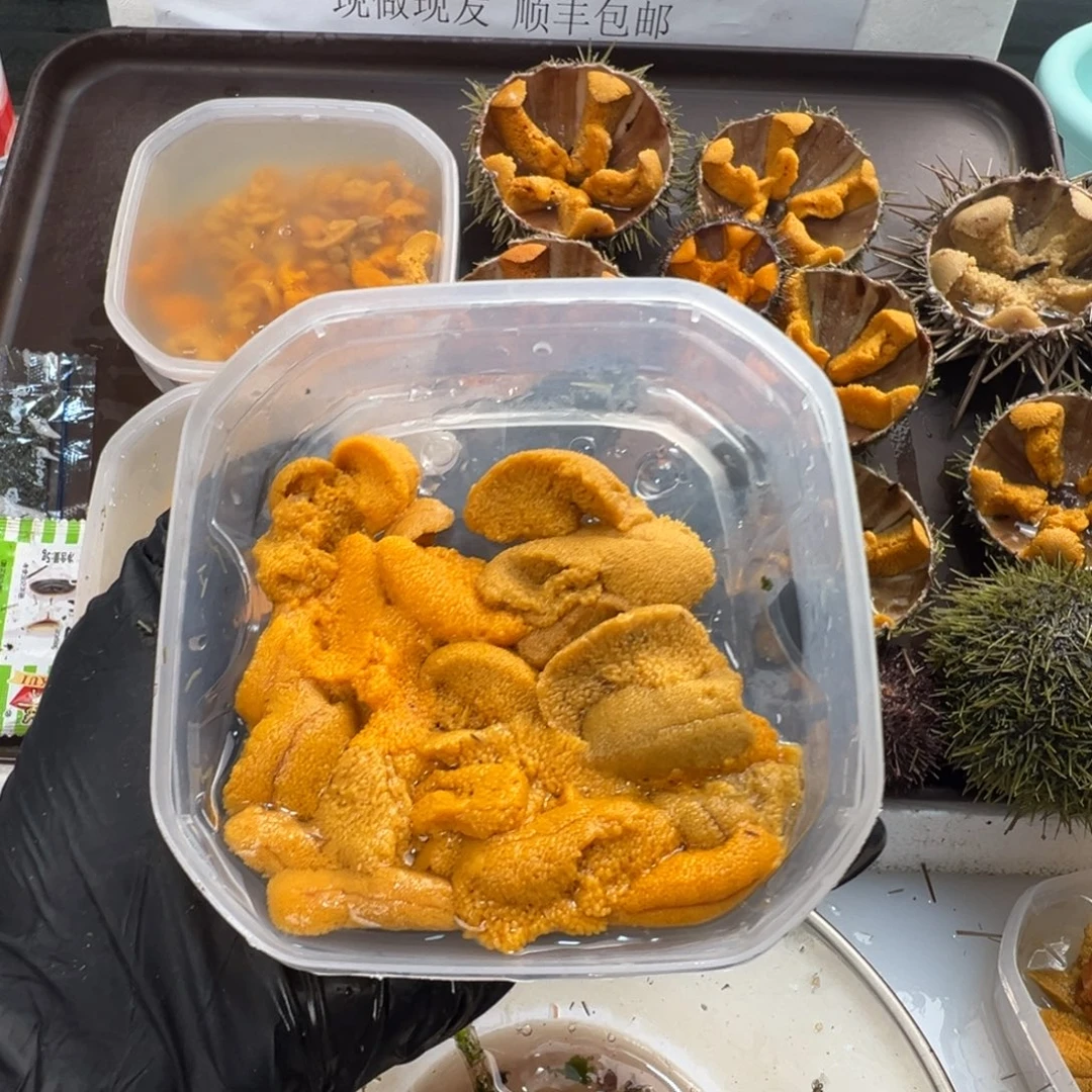 中国大陆四盒加拿大海胆
