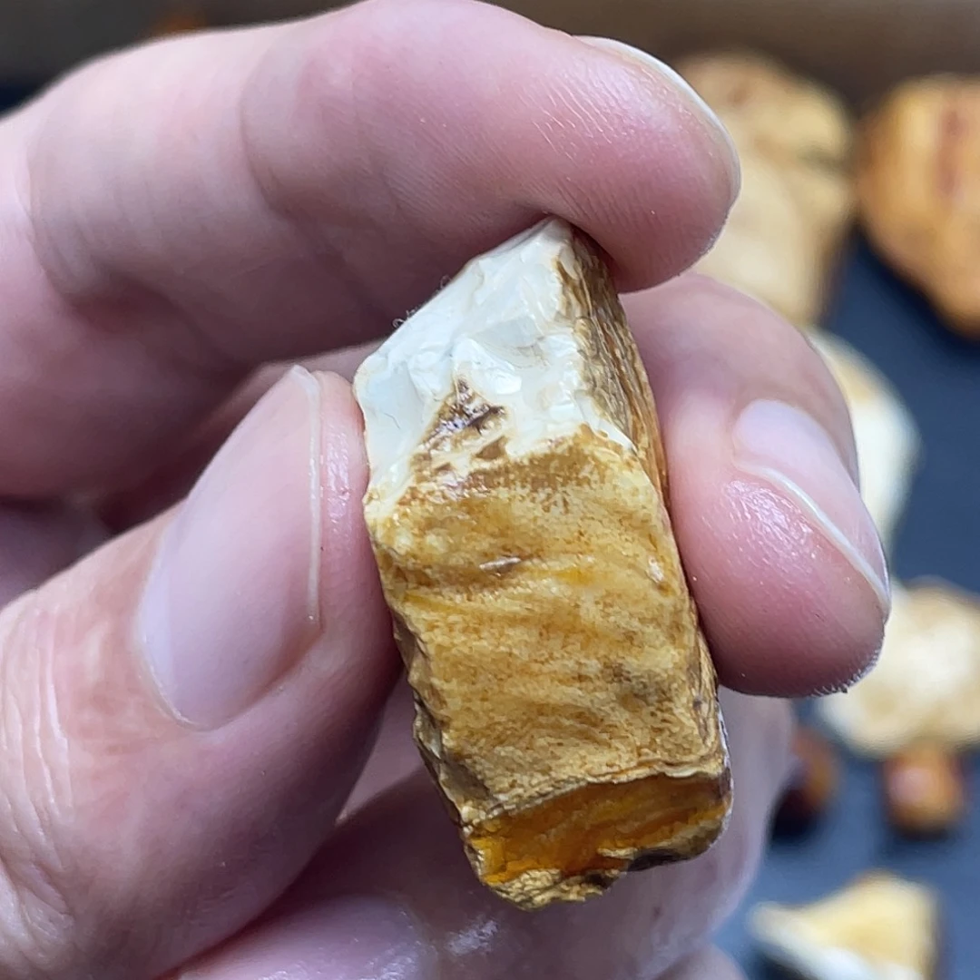 未镶嵌定制琥珀蟹*板定制