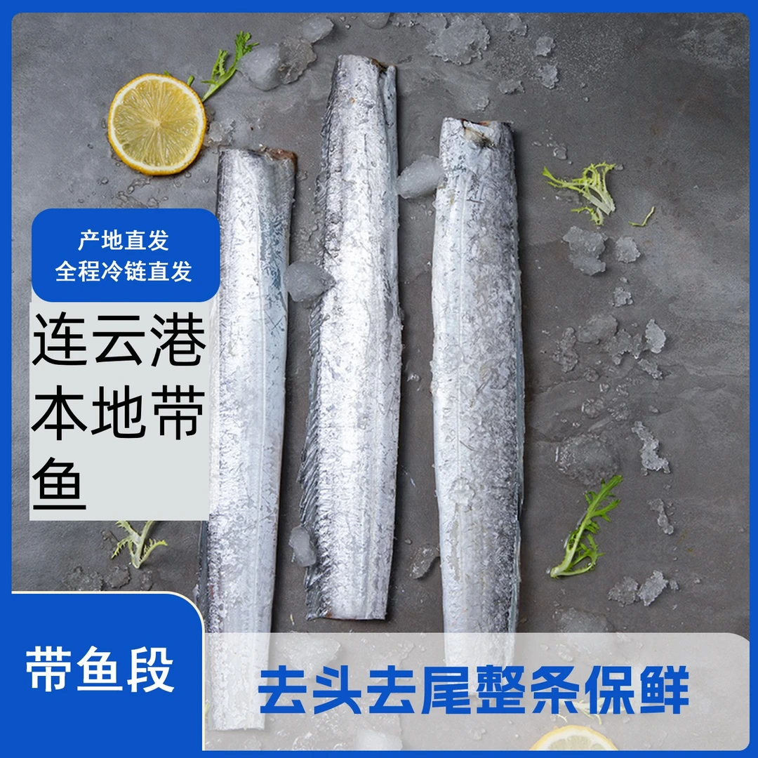 冷冻去头去尾带鱼 带鱼整条 带鱼段 生鲜海鲜 源头直发
