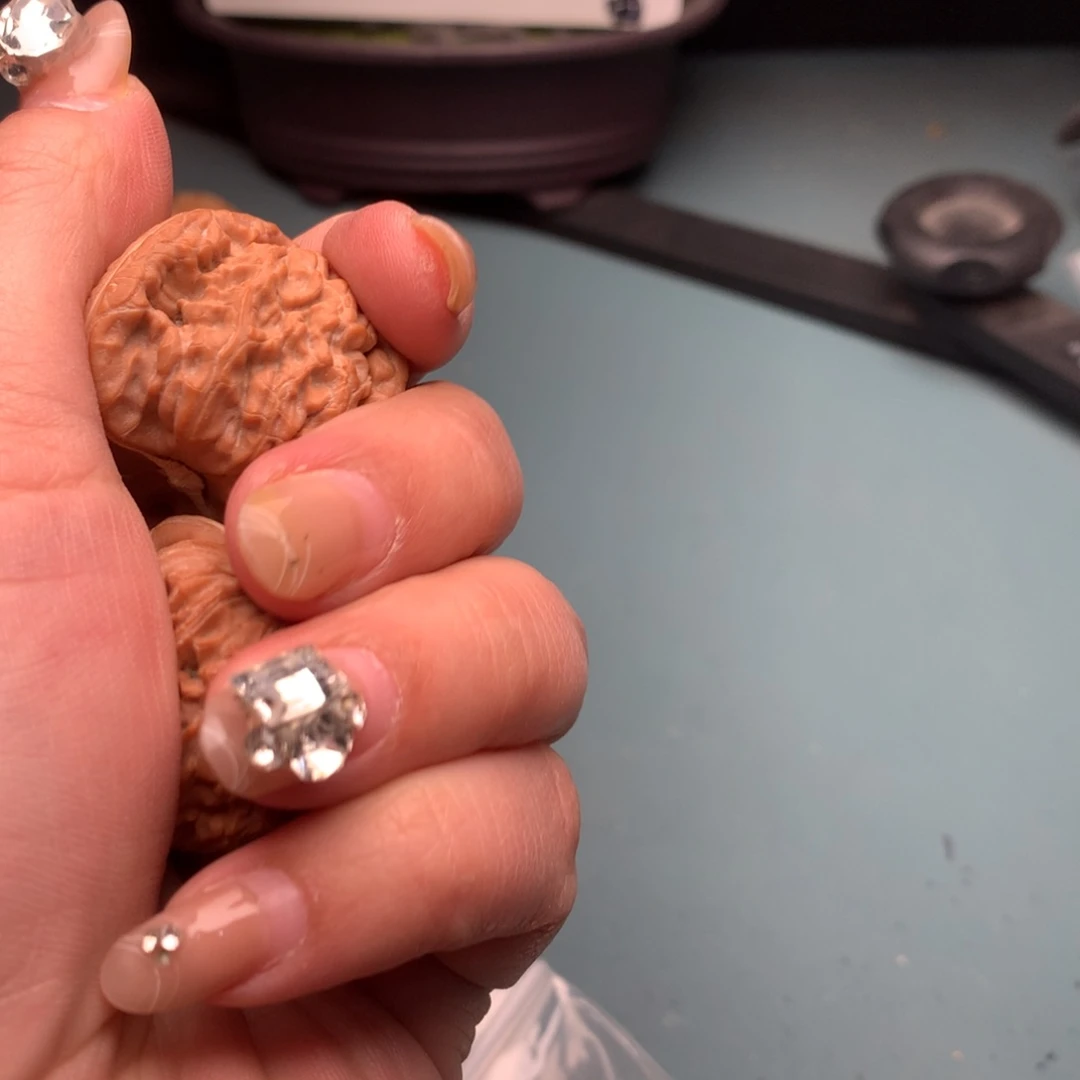 文玩核桃把件白狮子3839