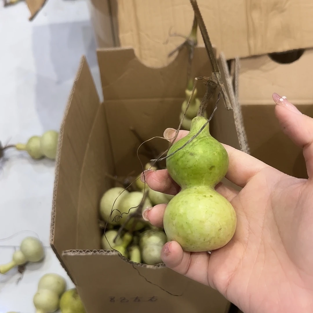 刘***岩葫芦vv好吧哈哈哈哈哈哈哈哈