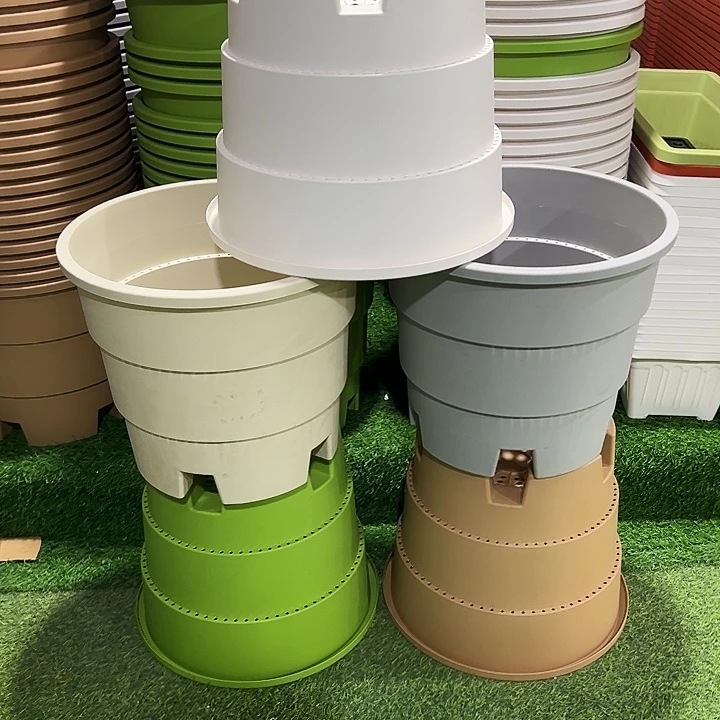 正品蓝莓盆口41高35果绿色3个无托