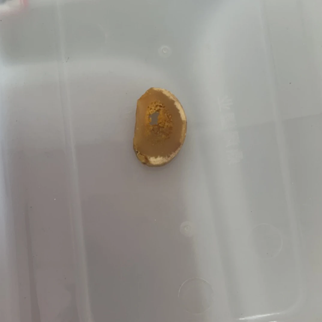 Q83特色手工艺木制品