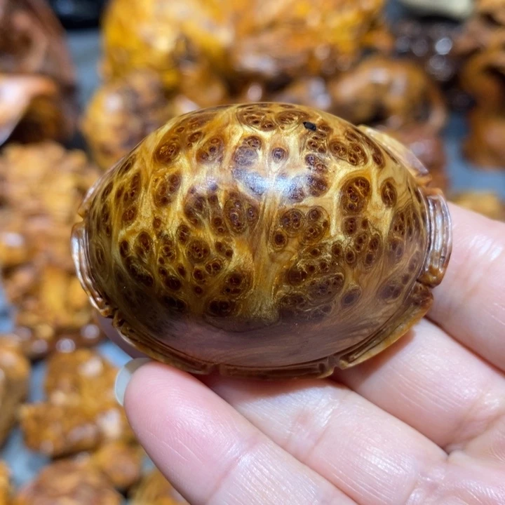 柏木太行崖柏陈化