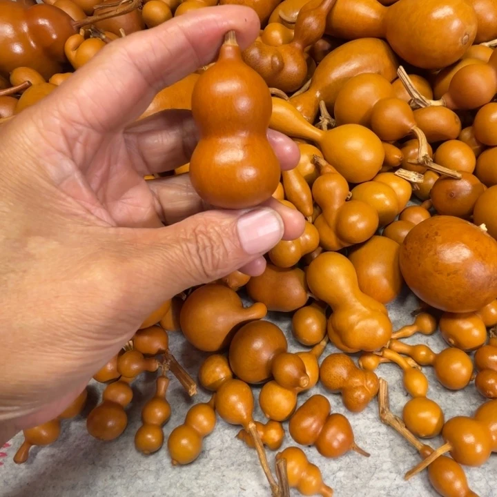 小****嘻嘻哈哈的，一把小八宝葫芦