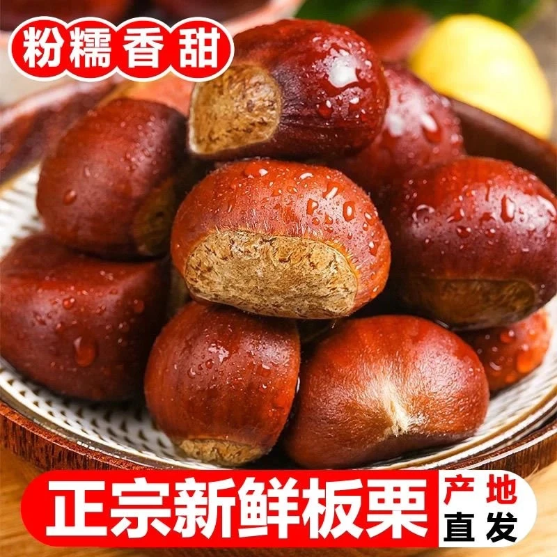 丹东板栗大果生板栗单果坏果包赔2025新果难剥皮非油栗锥栗农产品