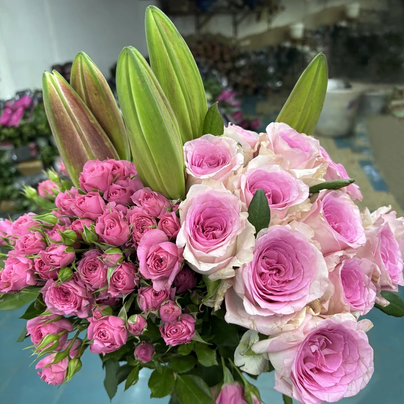 【玫瑰组合】单头玫瑰新鲜鲜花花束云南鲜花基地直发适合客厅装饰