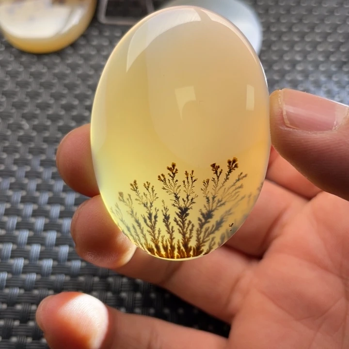 胖***鱼玛瑙/玉髓未镶嵌颈饰