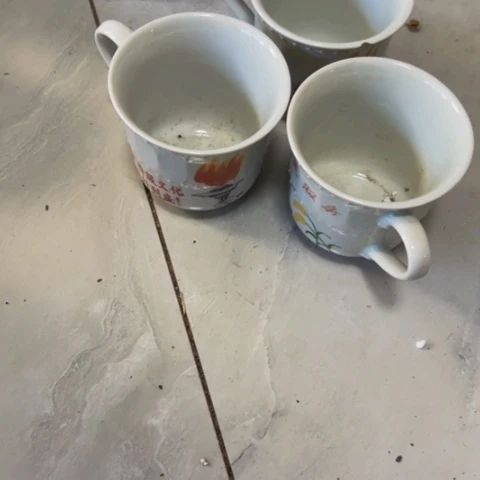 花***家核桃木/黑胡桃（胡桃木）