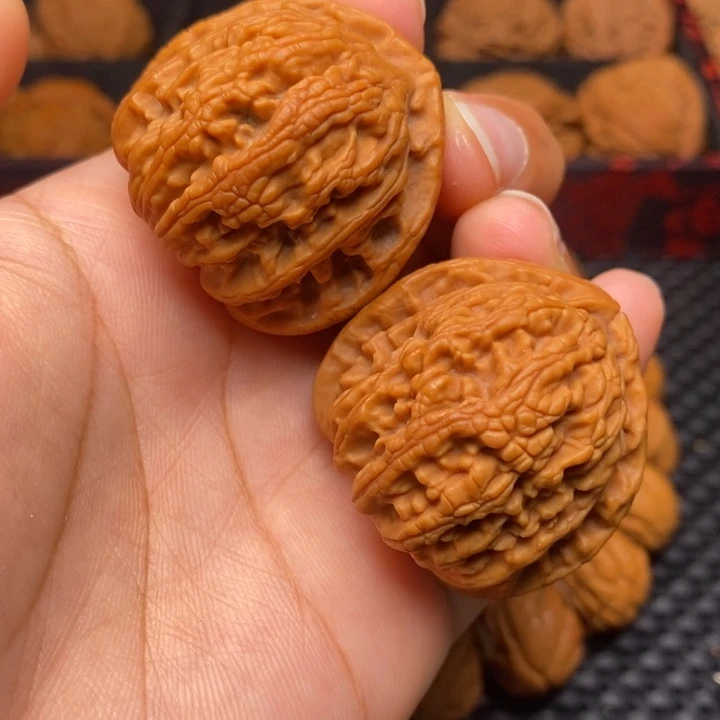 秦岭野生111111111111